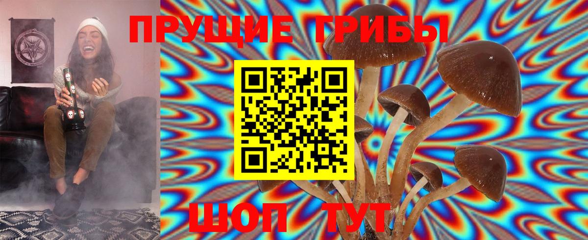 Тосно  даркнет сайт  Вход с VPN  Псилоцибиновые грибы GOLDEN TEACHER 